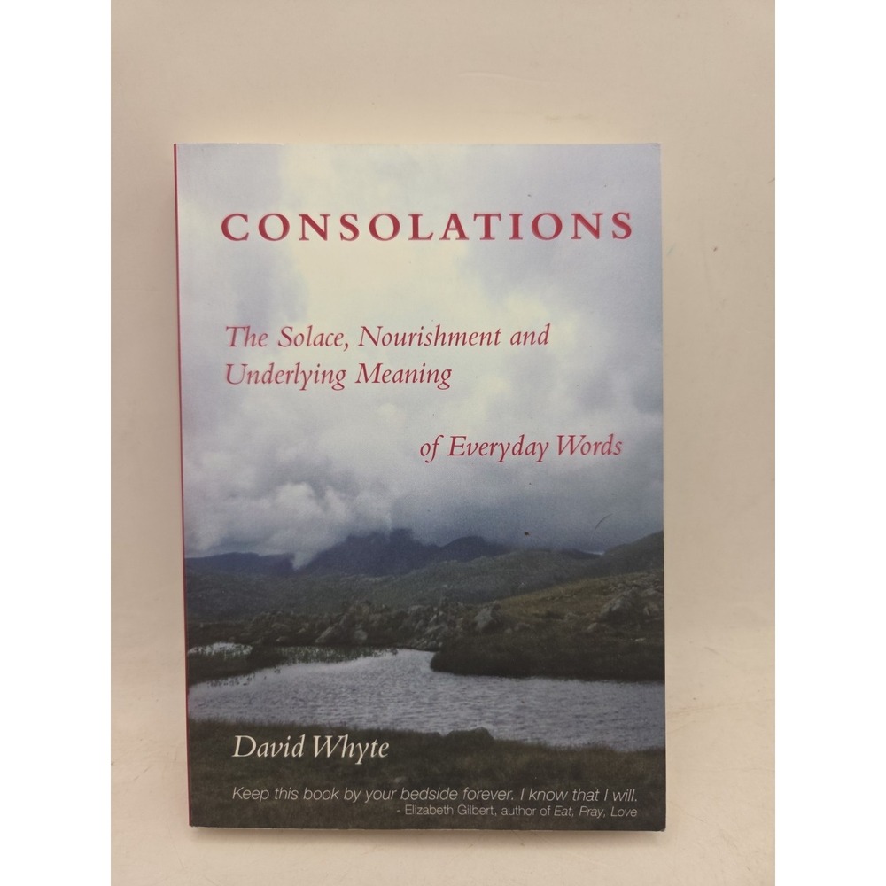 Consolations: The Solace, Nourishment and Underlying Meaning of Everyday Wor...